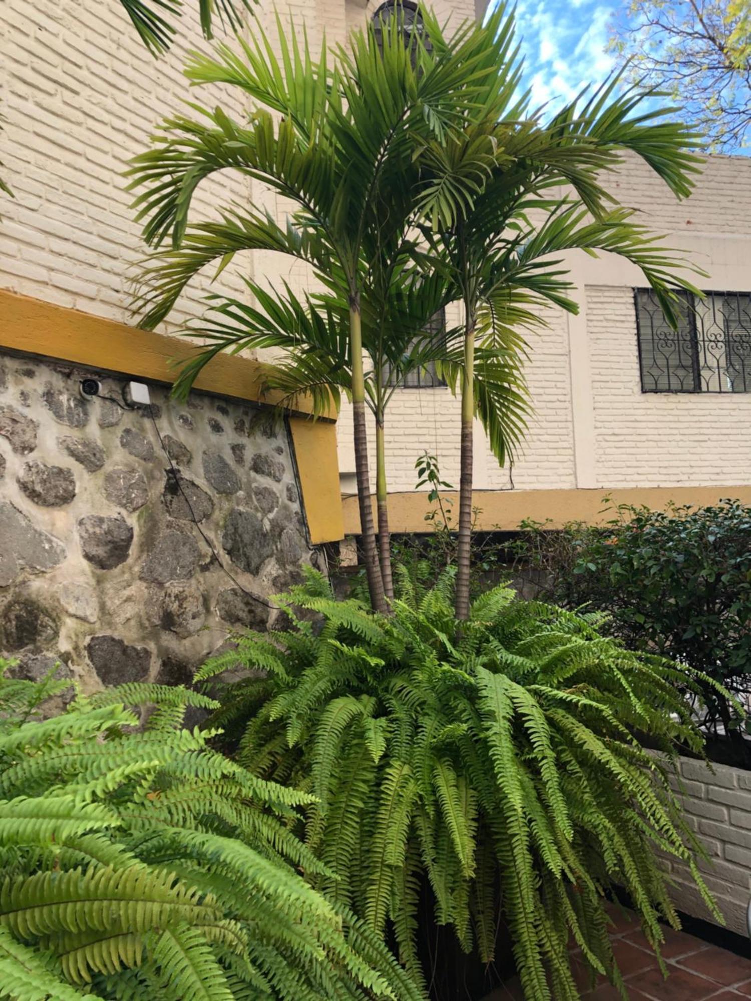 Hotel Ilebal Cuernavaca Centro - Lugar Con Encanto! Екстериор снимка