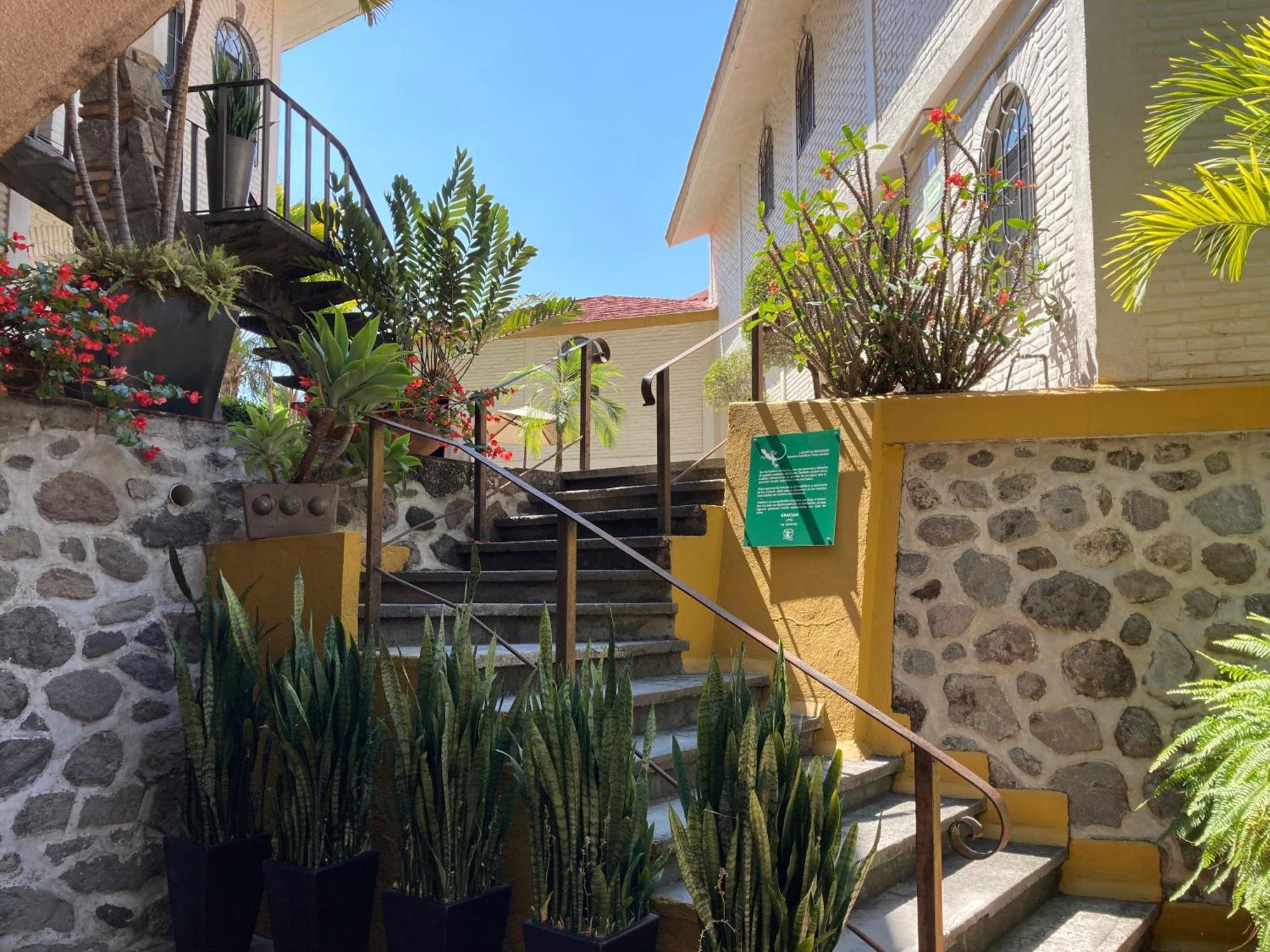 Hotel Ilebal Cuernavaca Centro - Lugar Con Encanto! Екстериор снимка