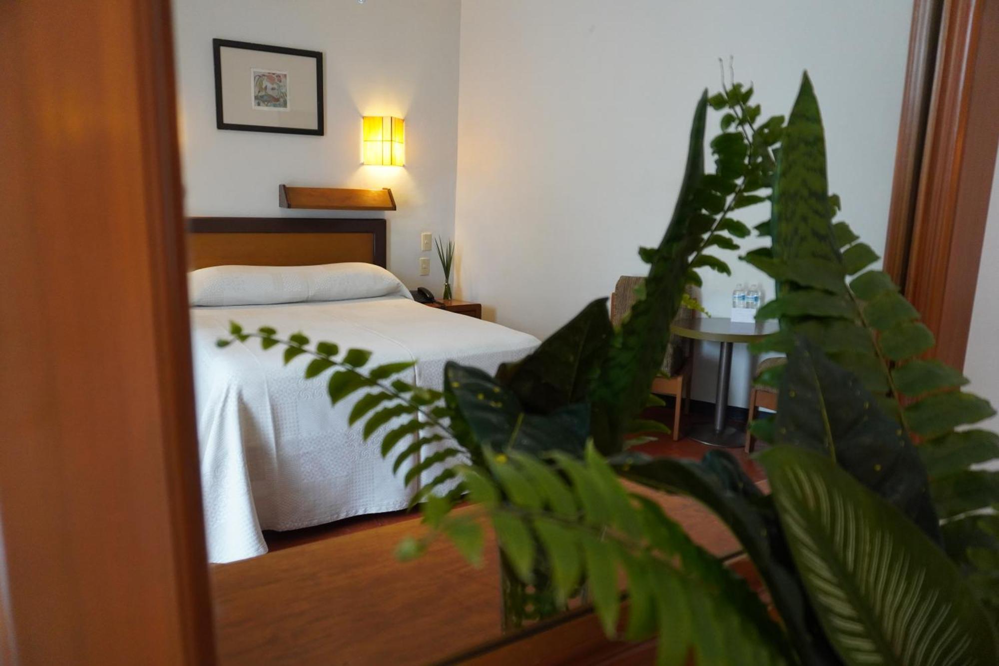 Hotel Ilebal Cuernavaca Centro - Lugar Con Encanto! Екстериор снимка