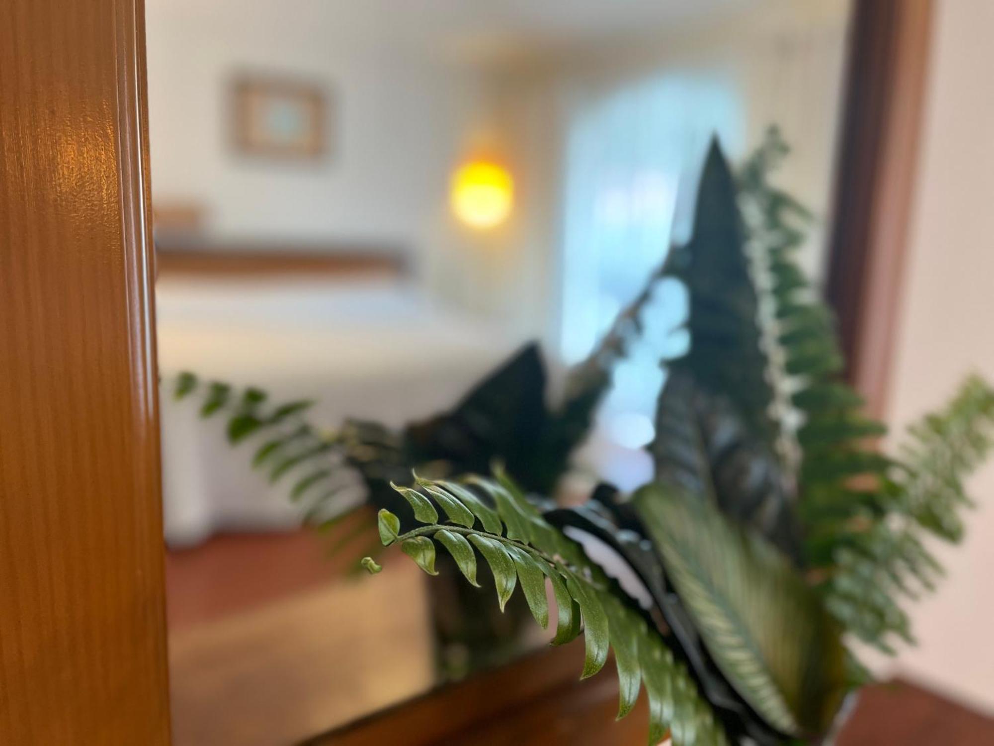 Hotel Ilebal Cuernavaca Centro - Lugar Con Encanto! Екстериор снимка