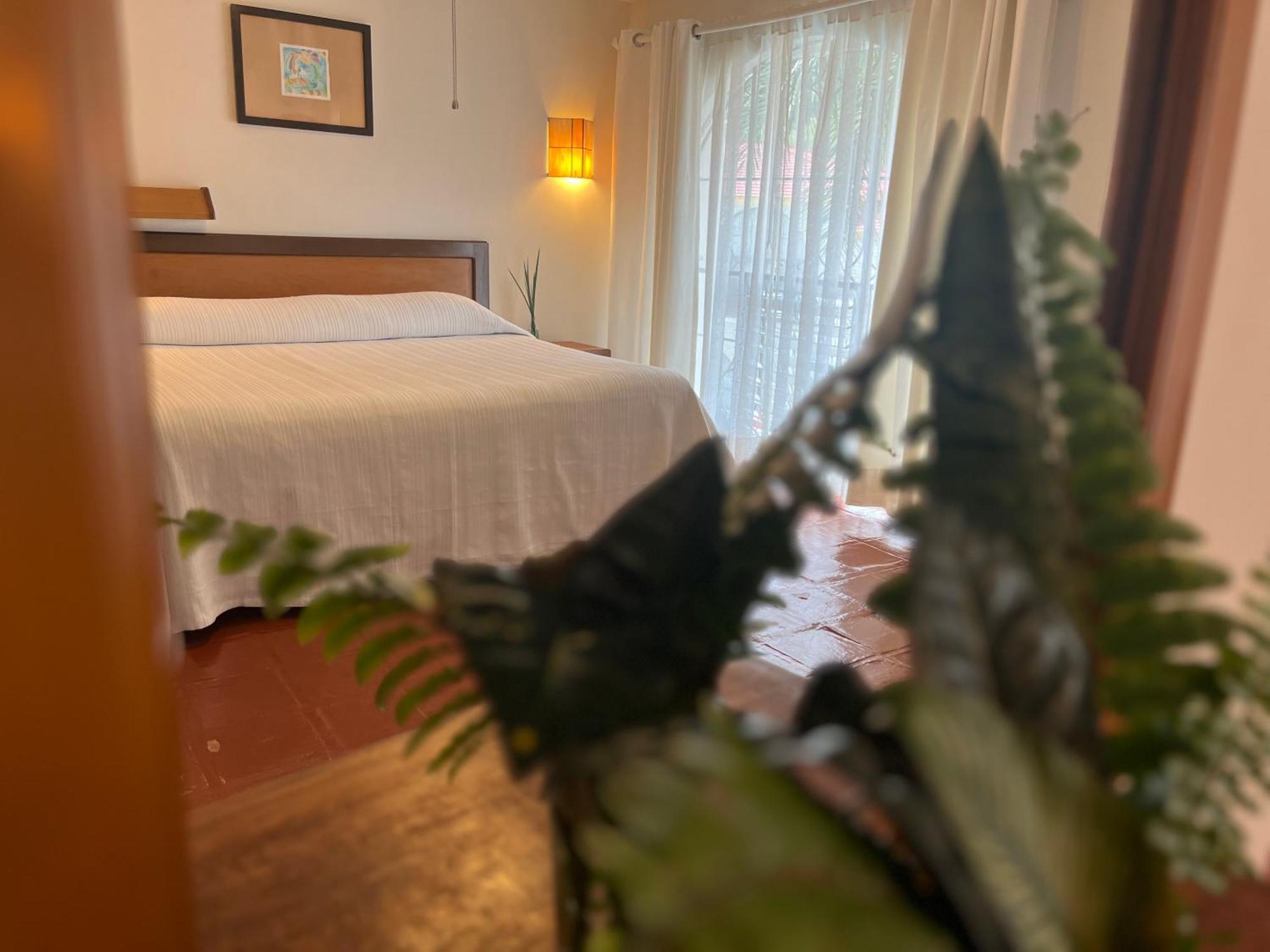 Hotel Ilebal Cuernavaca Centro - Lugar Con Encanto! Екстериор снимка